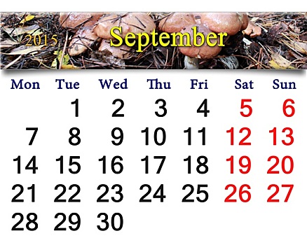 日程,九月,蘑菇