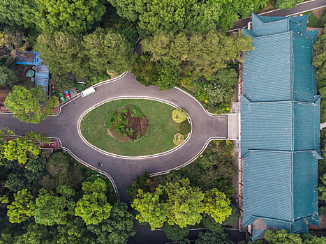 武汉,植物园,夏日,迷人,航拍,风光