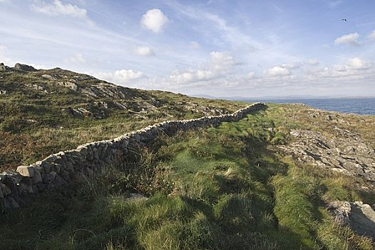 传统,石墙,岬角,清晰,岛屿,科克郡,爱尔兰