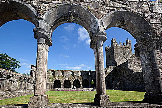 爱尔兰,基尔肯尼郡,靠近,教堂,15世纪,列柱,回廊,12世纪,西多会
