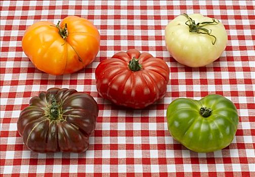色彩,西红柿,桌布