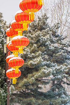 雪后公园里的红灯笼