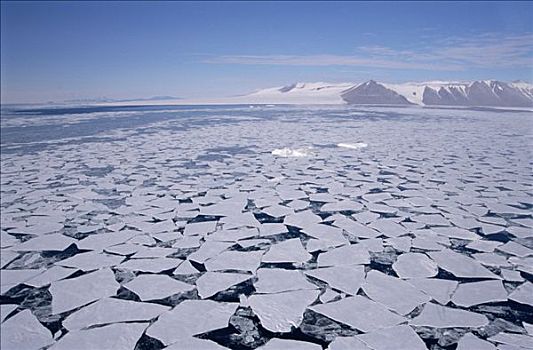 海冰,分手,航拍,山峦,罗斯海,南极