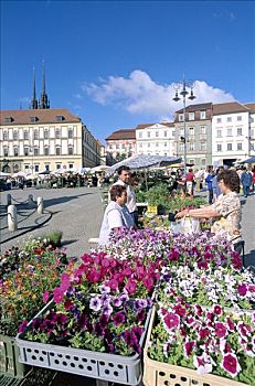 花园,市场,布尔诺,南摩拉维亚,捷克共和国