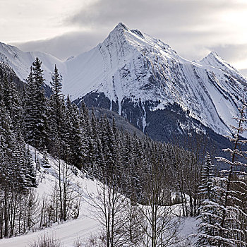 风景,积雪,山脉,改善,地区,玛琳湖,碧玉国家公园,艾伯塔省,加拿大
