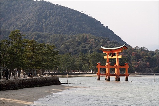 漂浮,大门,严岛神社,日本