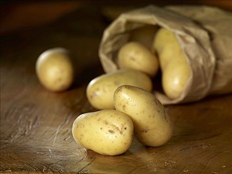 土豆,品种,纸袋