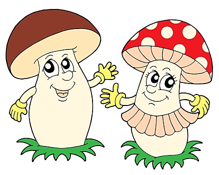 蘑菇,伞菌