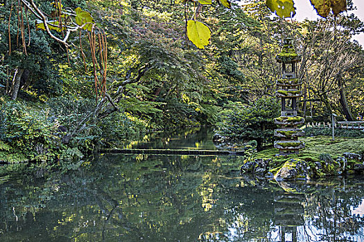 花园,秋天,石川,日本