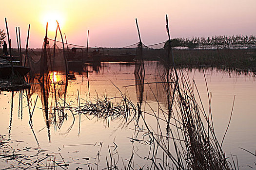 沼泽,湖水,东北,大兴安岭