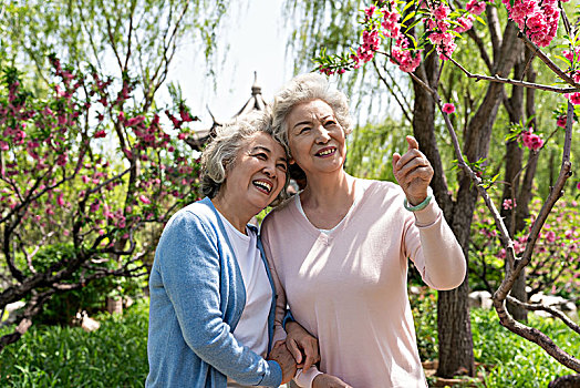 两个老年女人赏花