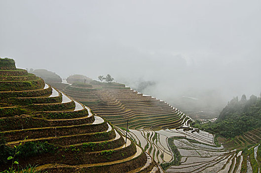 金坑梯田