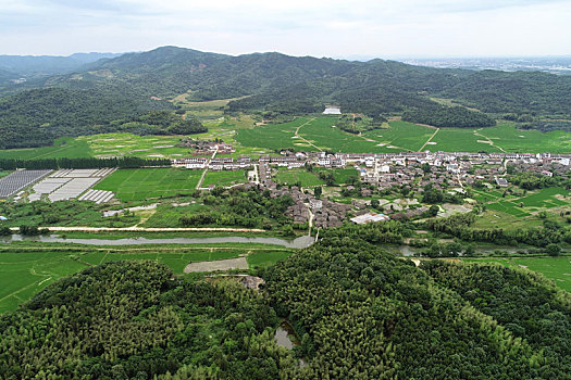 江西金溪,产业兴村,村美民富