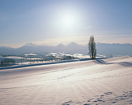 雪原,山