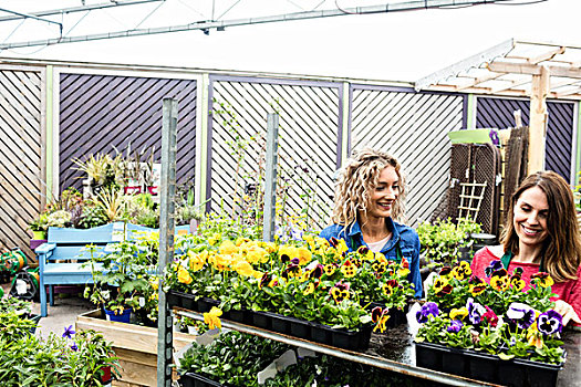 两个,女性,花商,微笑,检查,植物,花卉商店