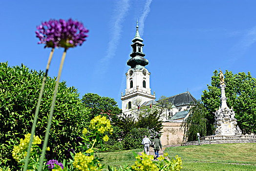 城堡,大教堂,斯洛伐克