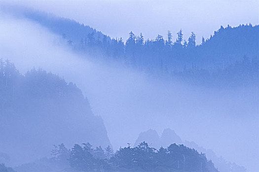 山峦,遮盖,雾,坎农海滩,俄勒冈海岸,俄勒冈,美国