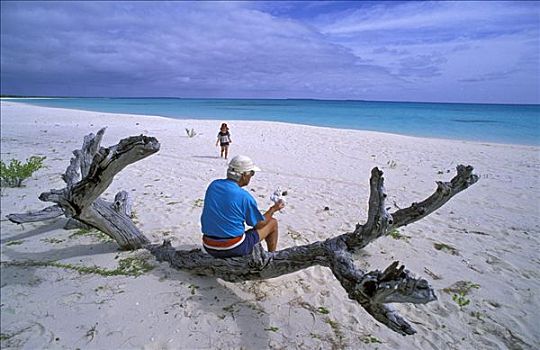 爷爷,坐,树干,等待,孙女,新加勒多尼亚