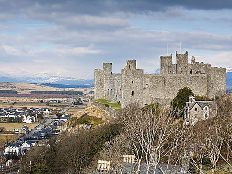 威尔士,格温内思郡,城堡,一个,强悍,要塞