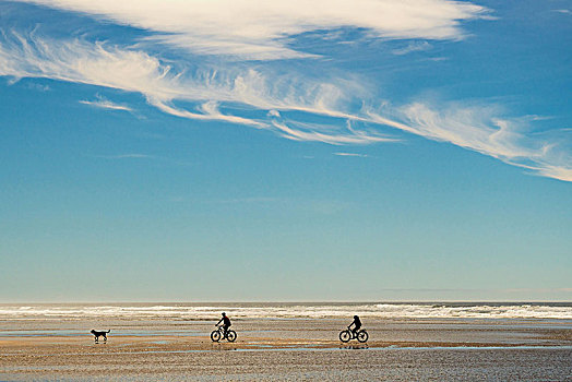 太平洋海岸,佳能海滩,骑车