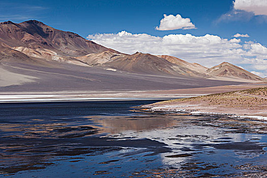 智利,阿塔卡马沙漠,盐湖,盐磐,泻湖