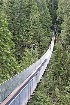卡毕兰诺,吊桥,温哥华,不列颠哥伦比亚省,加拿大