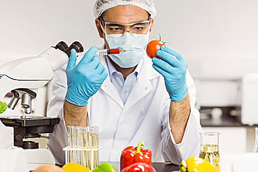 食物,科学家,注射,西红柿