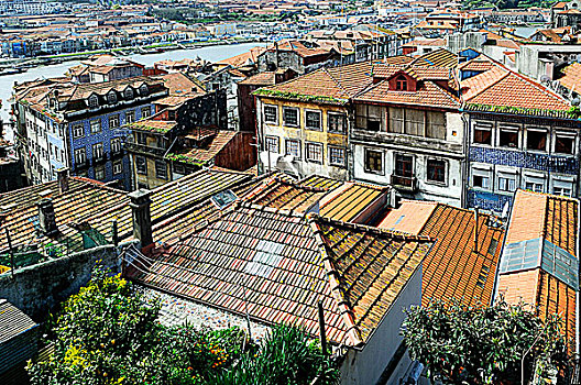 屋顶,建筑,波尔图,葡萄牙