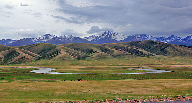 新疆,草地
