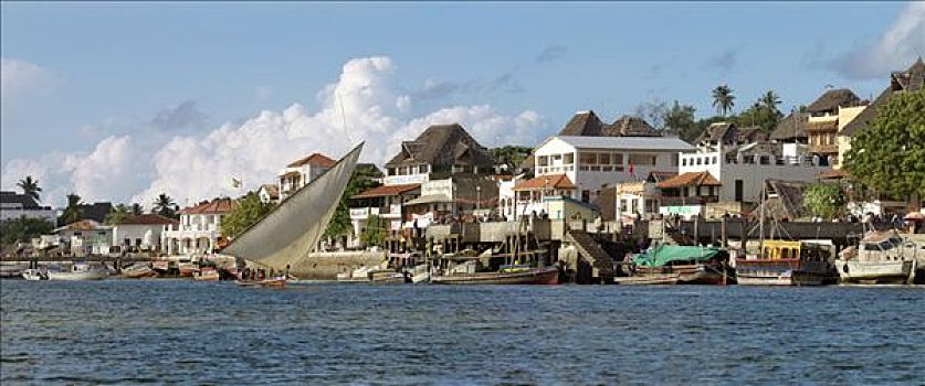 肯尼亚,独桅三角帆船,帆,水岸,拉姆城