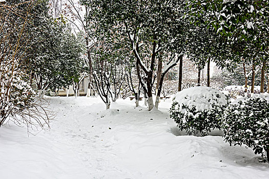 园林雪景