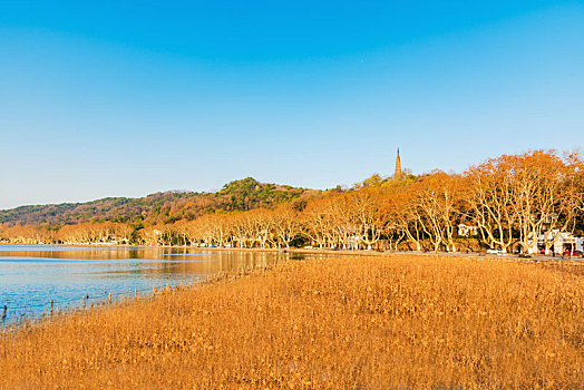 杭州西湖北山街秋景