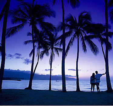 伴侣,站立,海滩,瓦胡岛