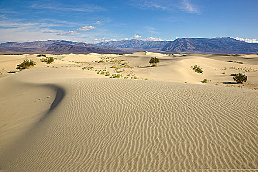 盐,山谷,沙丘,死亡谷国家公园,加利福尼亚