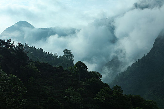 恩施,大山,湖北,山区,云海,云雾,高山,神秘,群山,山峰,鄂西