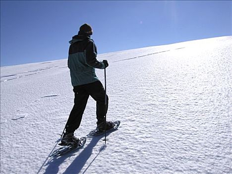 法国,圆顶,男人,雪鞋