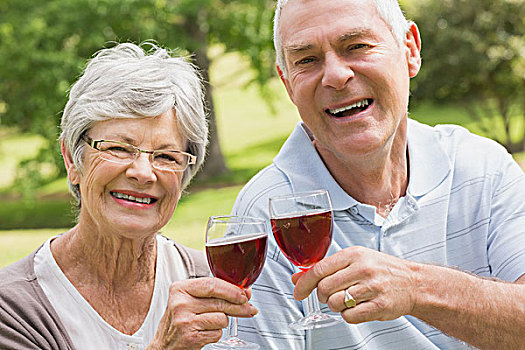 头像,老年,夫妻,祝酒,葡萄酒杯,公园