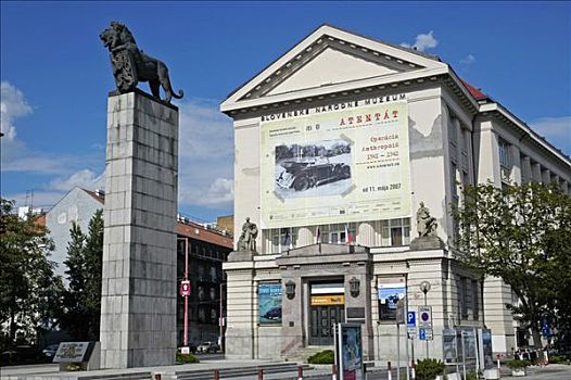 狮子,斯洛伐克,国家博物馆,布拉迪斯拉瓦