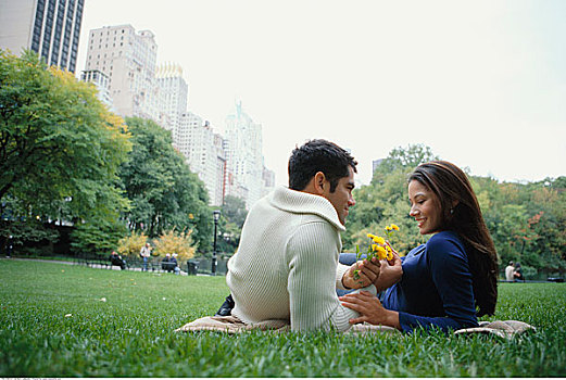 伴侣,躺着,毯子,中央公园,纽约,美国