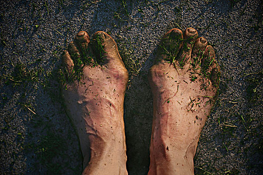 脏,泥,草,脚