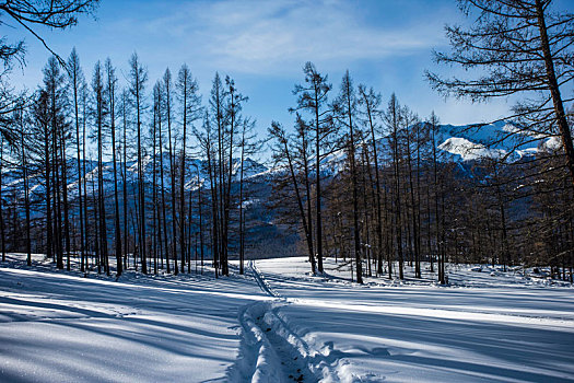 新疆禾木村雪景风光