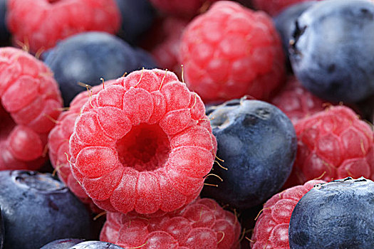 成熟,蓝莓,自然,有机,浆果