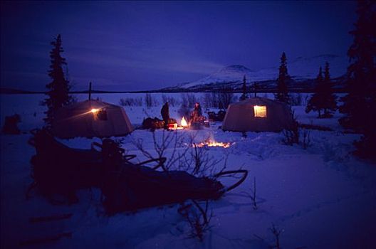 北极,露营,雪撬,夜晚,侧面,冰冻,湖