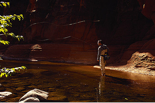 男人,飞钓,橡树溪峽谷,亚利桑那,美国