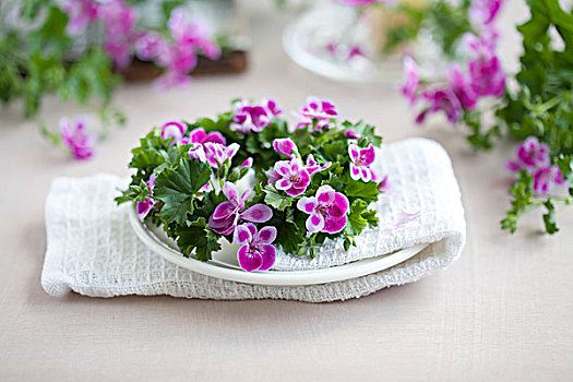 花环,天竺葵属植物,装饰,桌子