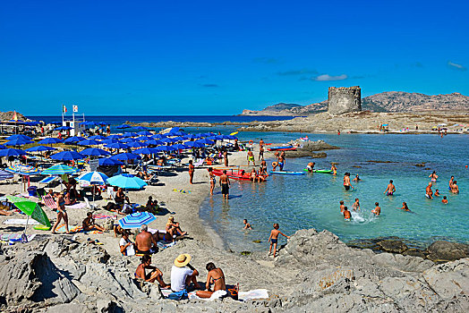海滩,伞,洗澡,波尔图,萨丁尼亚,意大利,欧洲