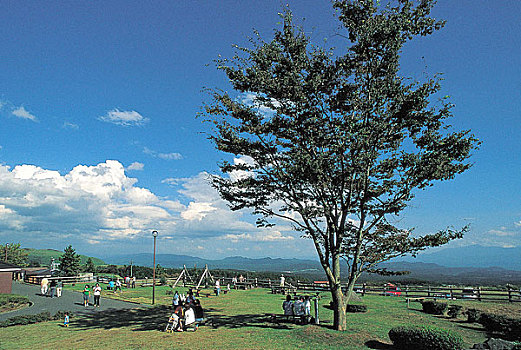 九州大分饭田牧场