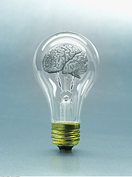 大脑,室内,灯泡