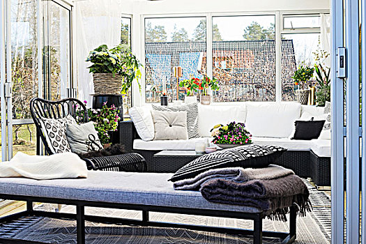 长椅,正面,舒适,沙发,白色,垫子,盆栽植物,温室