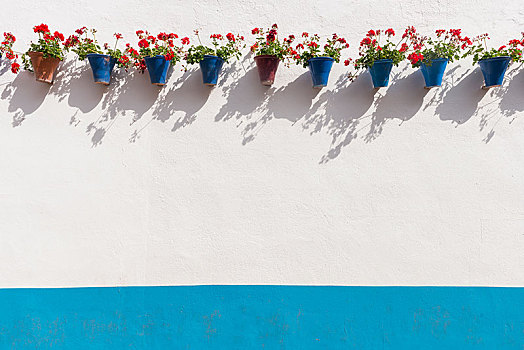 红色,天竺葵,蓝色,花盆,墙壁,节日,内庭,科多巴,安达卢西亚,西班牙,欧洲